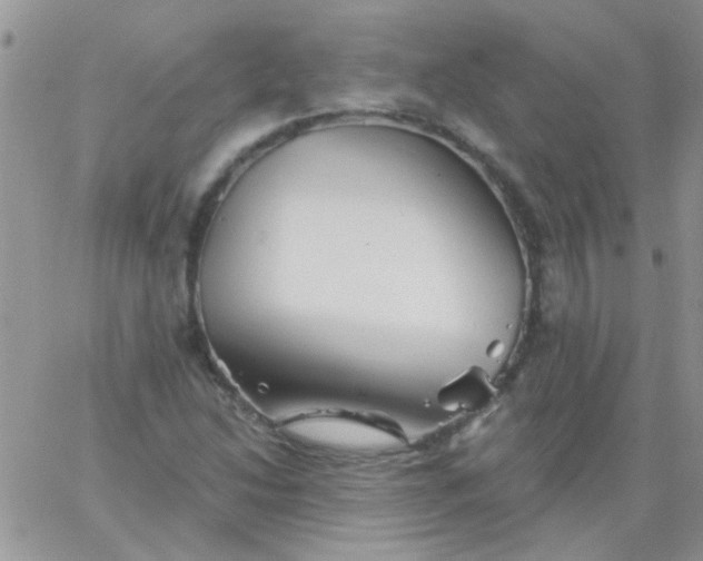 X0000065971214200603172042