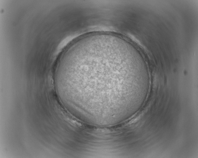 X0000065971215200603172042