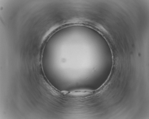 X0000065971216200603172042