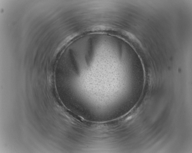 X0000065971217200603172042