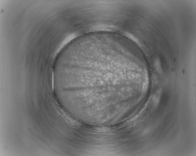 X0000065971219200603172042