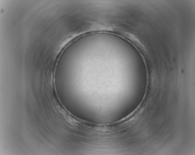 X0000065971220200603172042