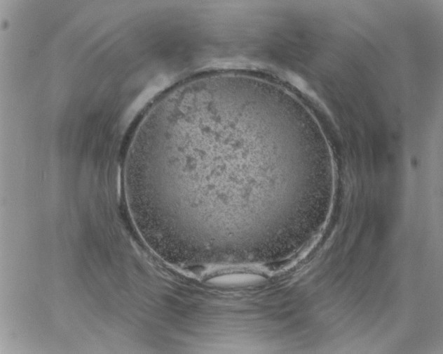 X0000065971221200603172042