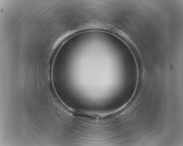 X0000065971222200603172042