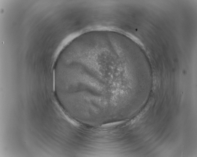 X0000065971223200603172042