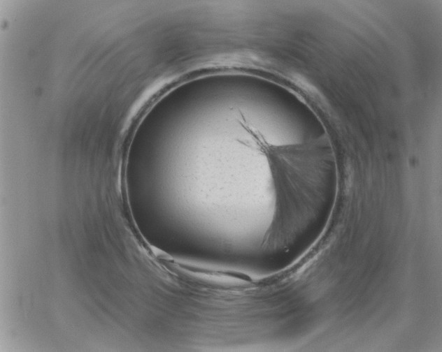 X0000065971224200603172042