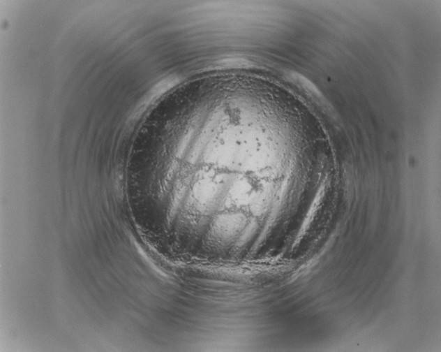 X0000065971225200603172042