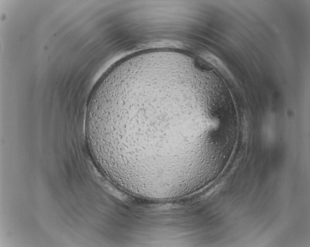 X0000065971228200603172042