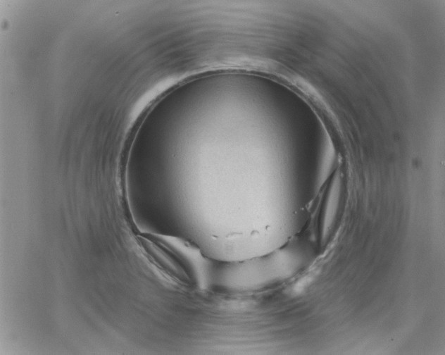 X0000065971230200603172042