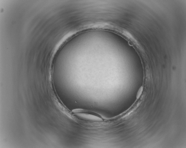 X0000065971232200603172042