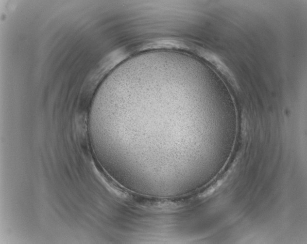 X0000065971233200603172042