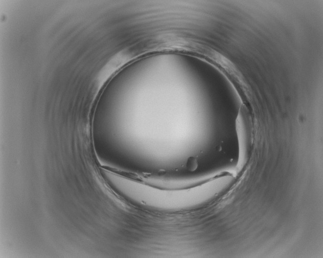 X0000065971234200603172042