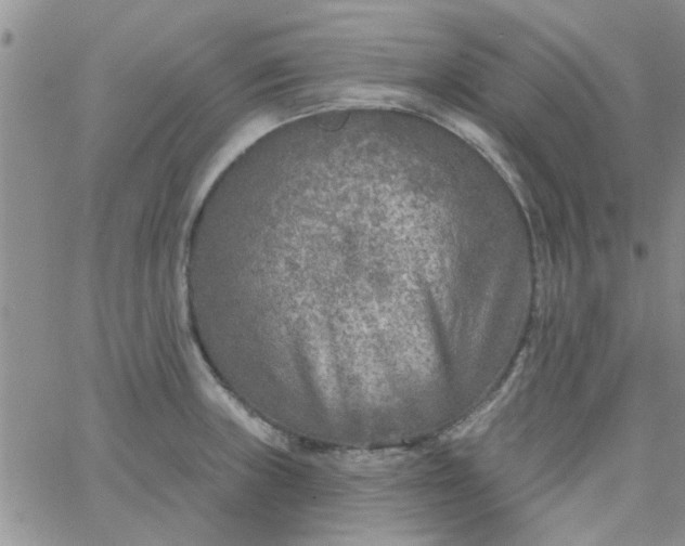 X0000065971235200603172042