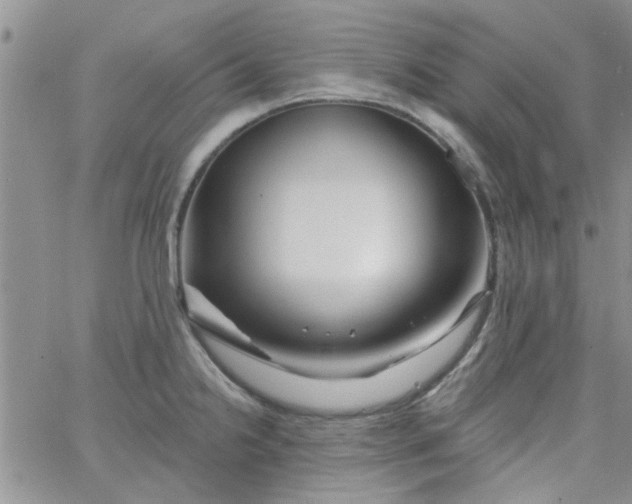 X0000065971238200603172042