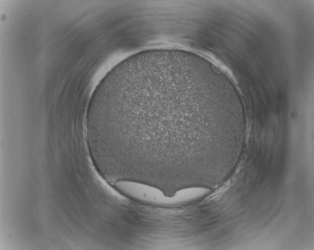 X0000065971239200603172042