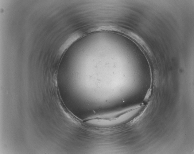 X0000065971241200603172042