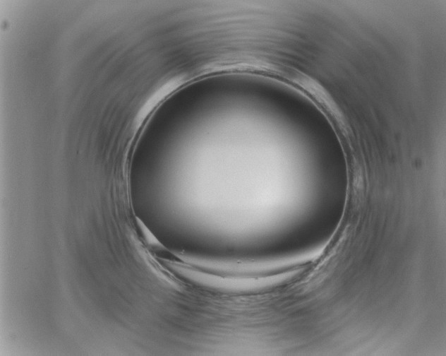 X0000065971242200603172042