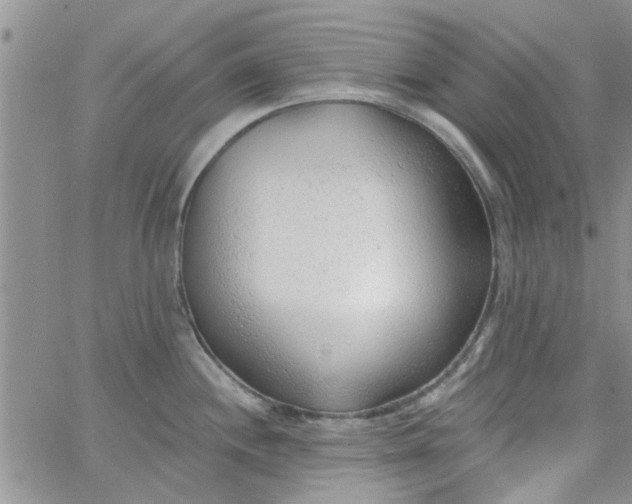 X0000065971244200603172042