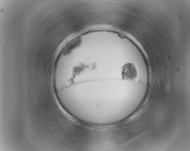 X0000065971245200603172042