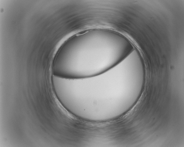 X0000065971246200603172042