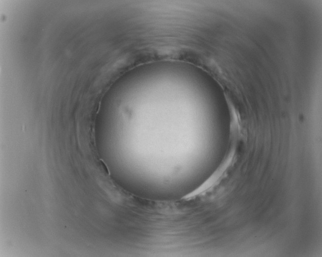 X0000065971249200603172041