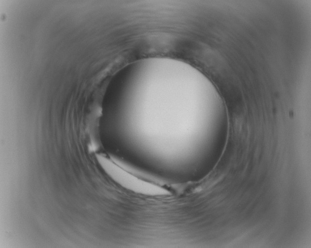 X0000065971250200603172041