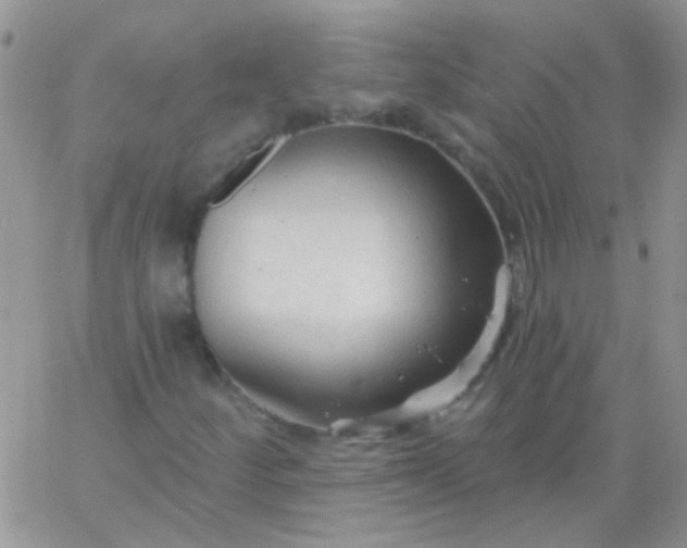 X0000065971252200603172041