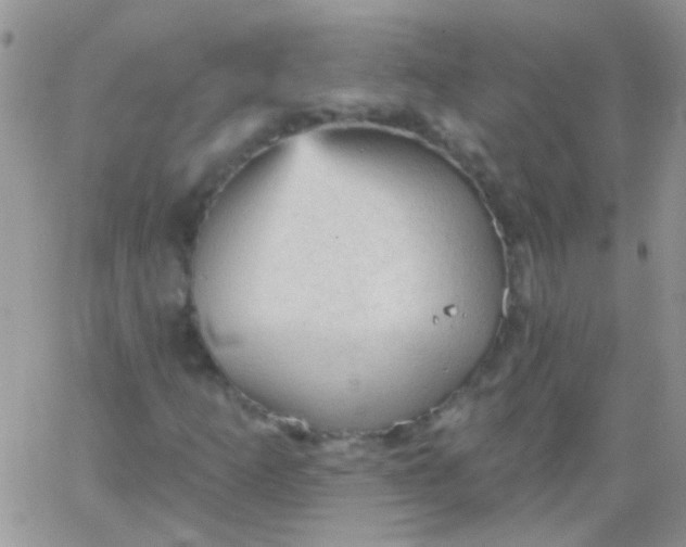 X0000065971253200603172041