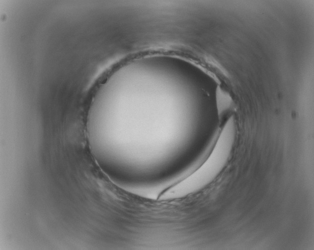 X0000065971256200603172041