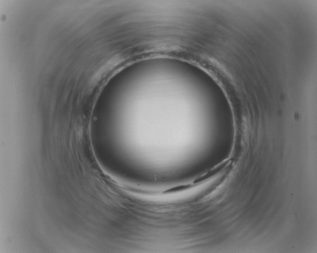 X0000065971257200603172041