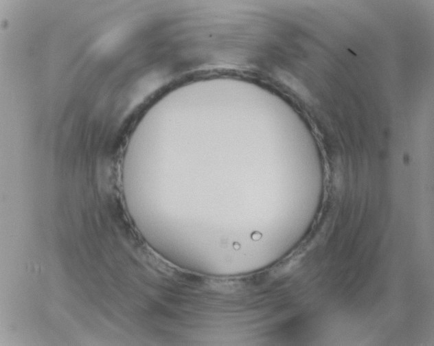 X0000065971258200603172041