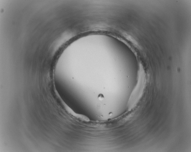 X0000065971261200603172041