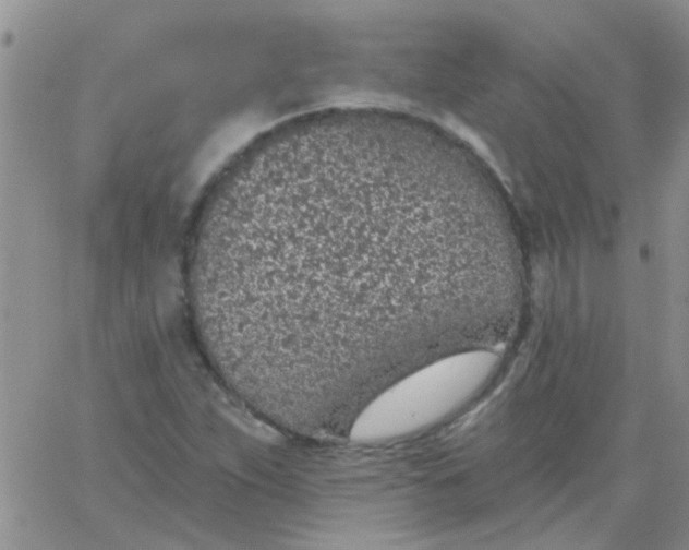 X0000065971263200603172041