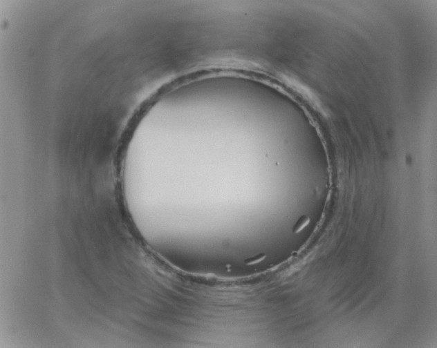 X0000065971264200603172041