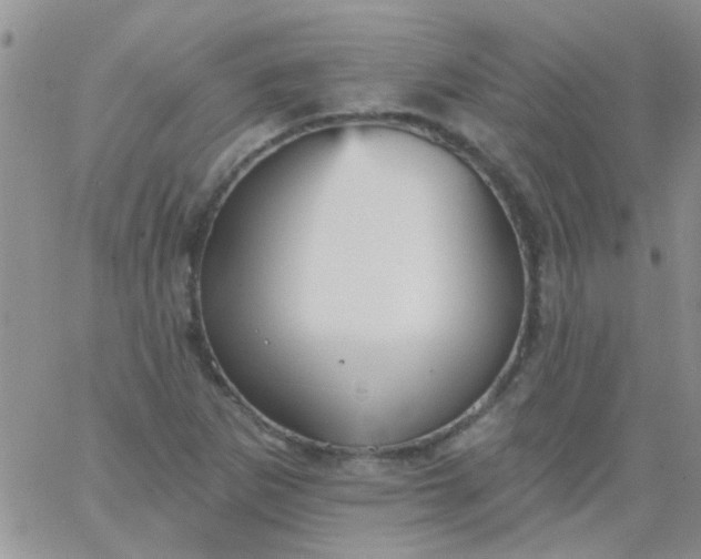 X0000065971265200603172041