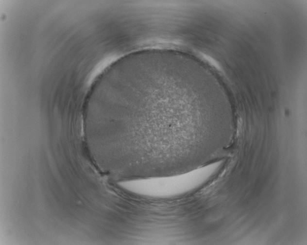 X0000065971267200603172041