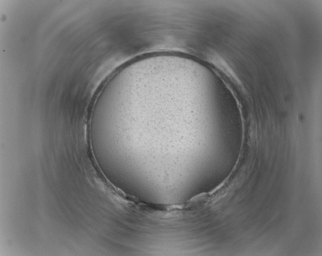 X0000065971268200603172041