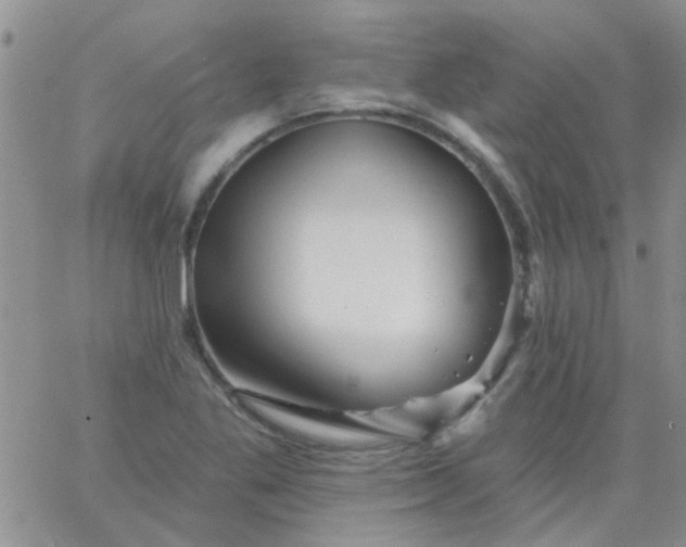 X0000065971269200603172041