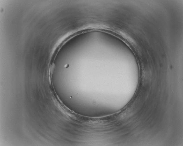 X0000065971272200603172041