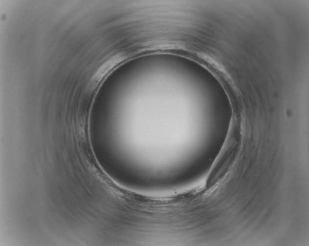 X0000065971273200603172041