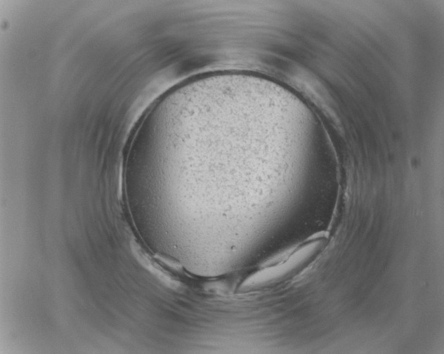 X0000065971276200603172041