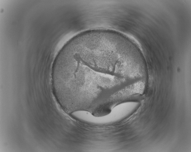 X0000065971279200603172041