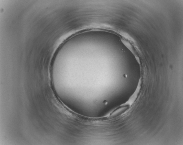 X0000065971280200603172041