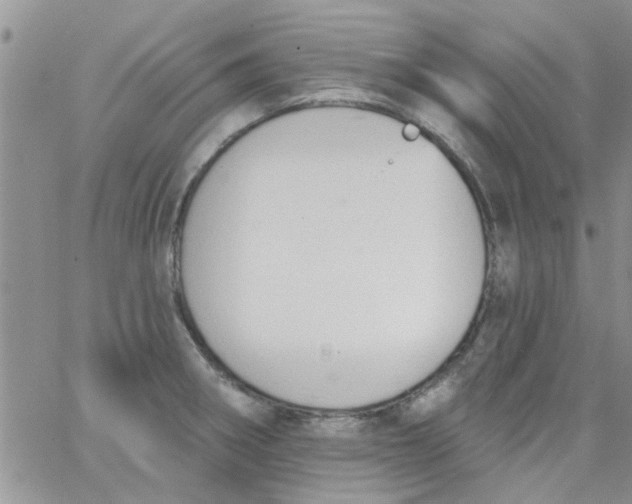 X0000065971282200603172041