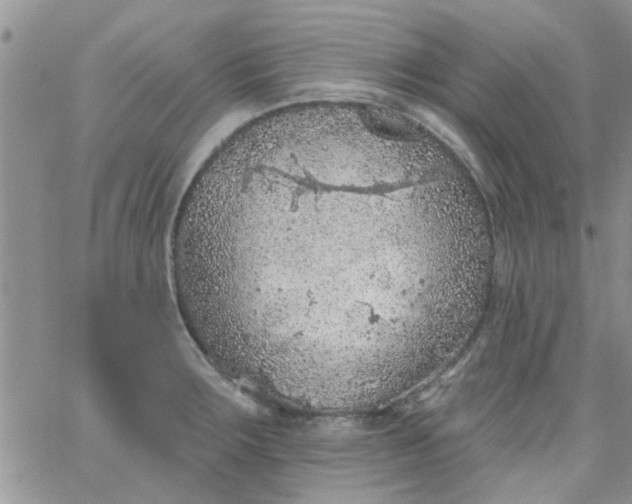 X0000065971283200603172041