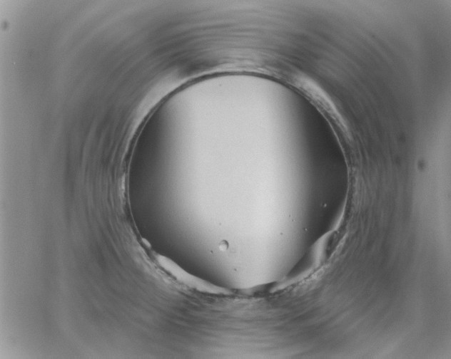 X0000065971284200603172041