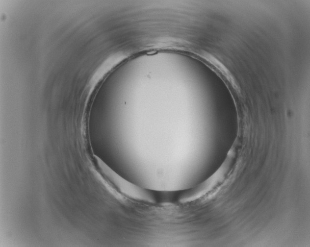 X0000065971285200603172041