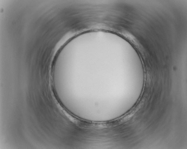 X0000065971286200603172041