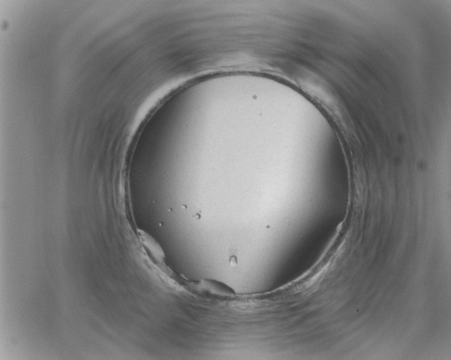 X0000065971288200603172041