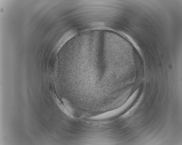 X0000065971289200603172041